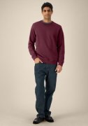 Heren Sweater Stanley Stella Roller